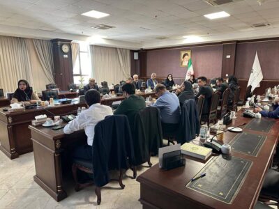 برگزاری نشست تخصصی «اصول آمار و تحلیل داده» با هدف تقویت حکمرانی داده در مناطق آزاد