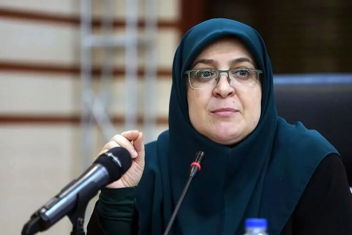 مهاجرانی: تصمیم نهایی درباره بنزین پس از جمع‌بندی به مردم اعلام می‌شود