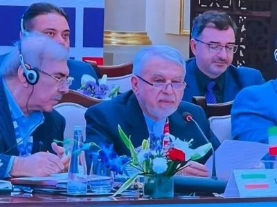 صالحی‌امیری: جهان امروز بیش از اقتصادهای تاب‌آور، به جوامع تاب‌آور نیاز دارد