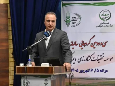 شکسته شدن رکورد تولید گندم در ایران